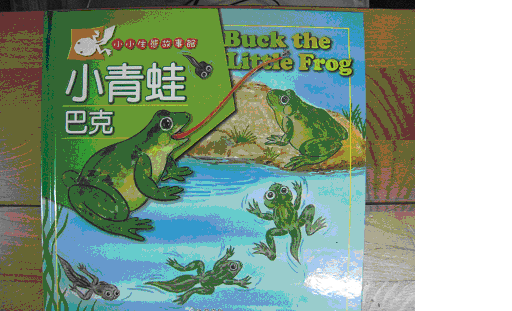 認證書目